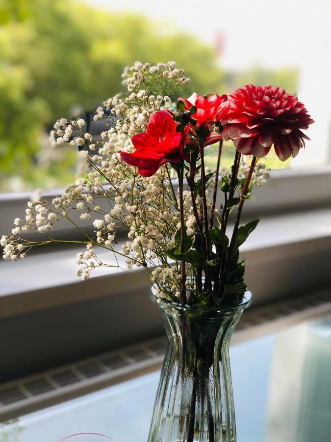 Cozy Apartment In Hannover Central المظهر الخارجي الصورة